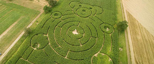 Aerial productions in highest quality and newest technology